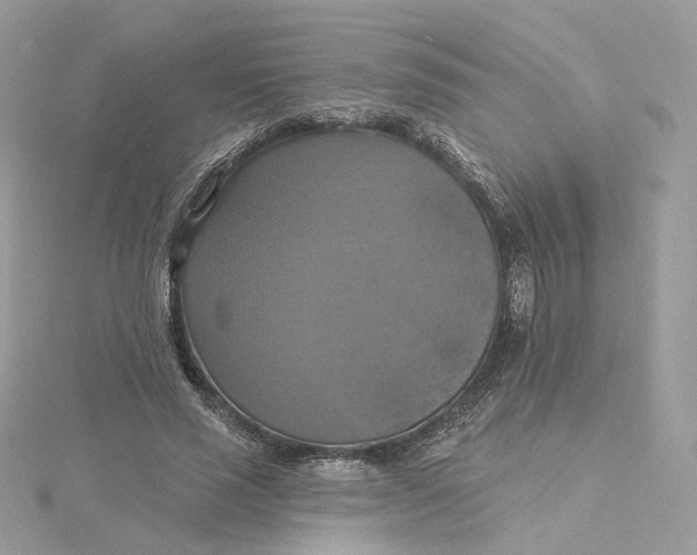 X0000115450637200911251308