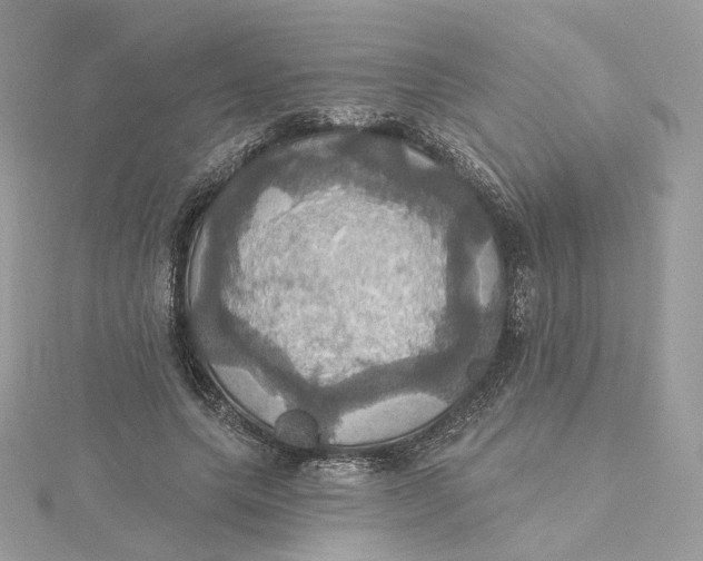 X0000115450639200911251308