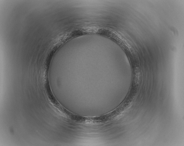 X0000115450641200911251308