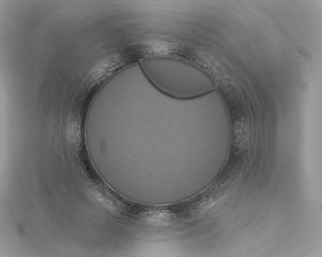 X0000115450642200911251308