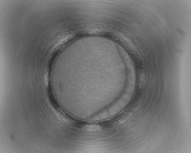 X0000115450644200911251308