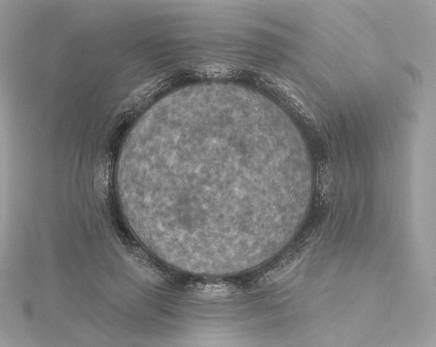 X0000115450645200911251308