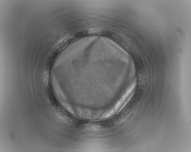 X0000115450648200911251308