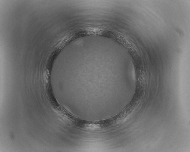 X0000115450649200911251308