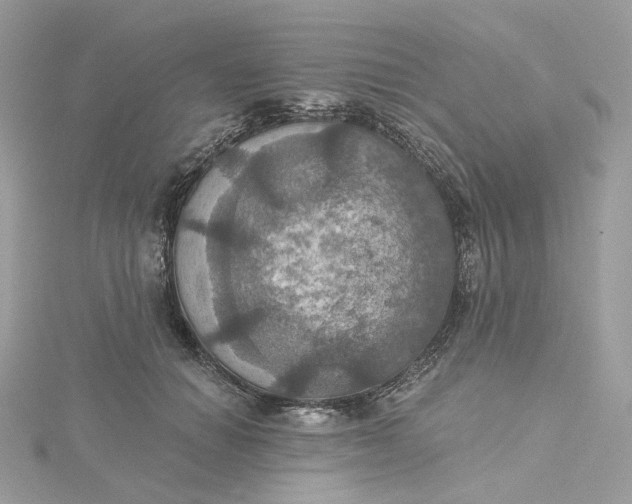 X0000115450654200911251308