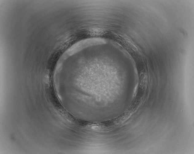 X0000115450655200911251308