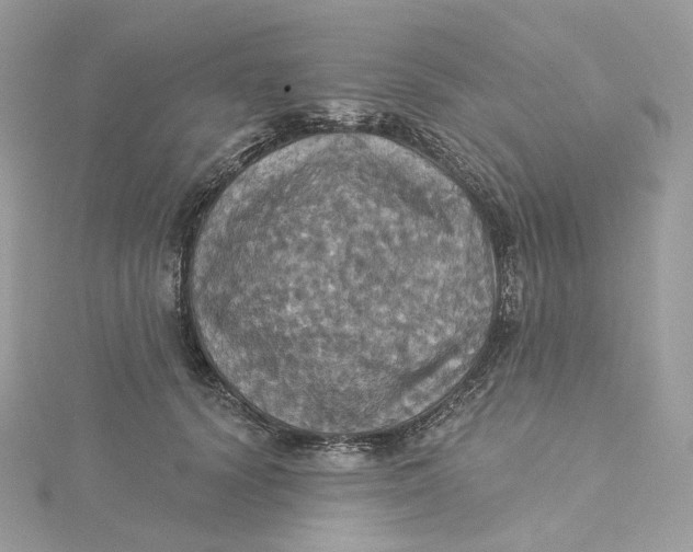 X0000115450656200911251308