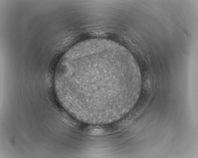 X0000115450658200911251308