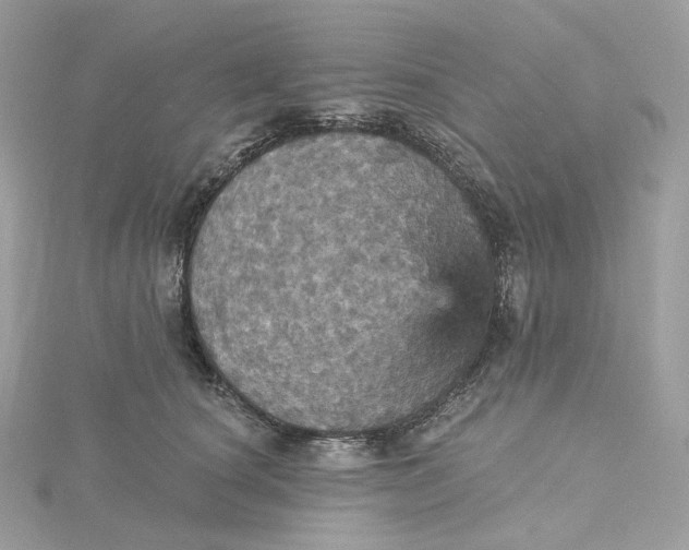 X0000115450660200911251308