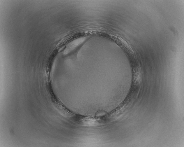 X0000115450661200911251308