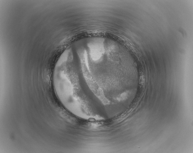 X0000115450662200911251308