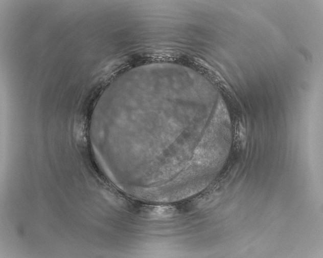 X0000115450663200911251308