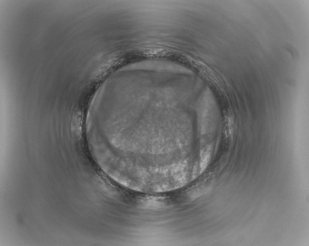 X0000115450664200911251308