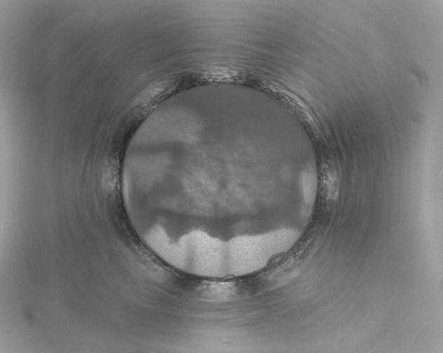 X0000115450665200911251308