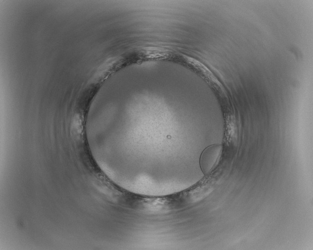 X0000115450667200911251308