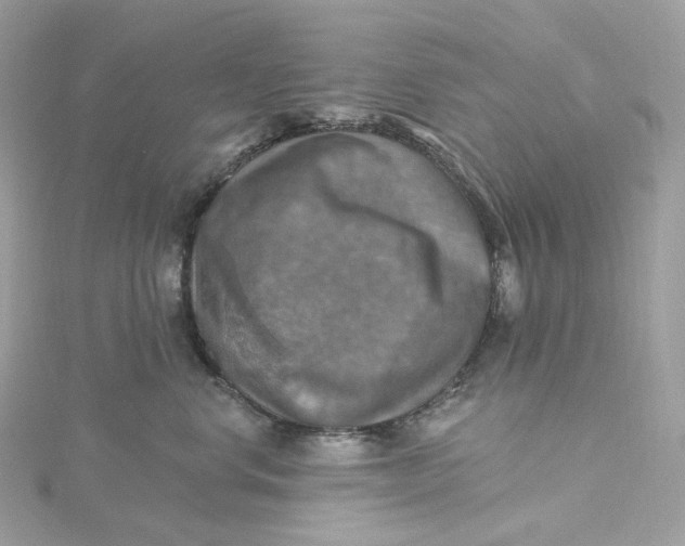 X0000115450668200911251308