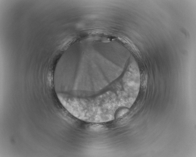 X0000115450669200911251308