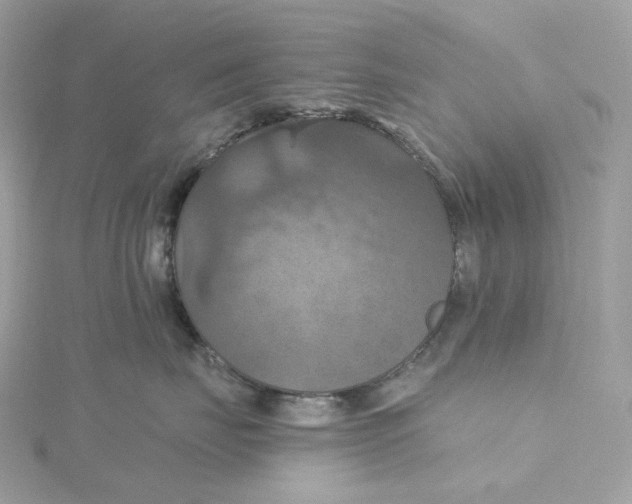 X0000115450671200911251308