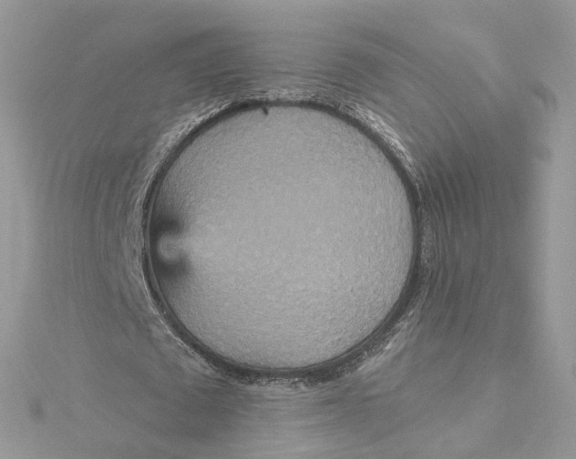 X0000115450673200911251307