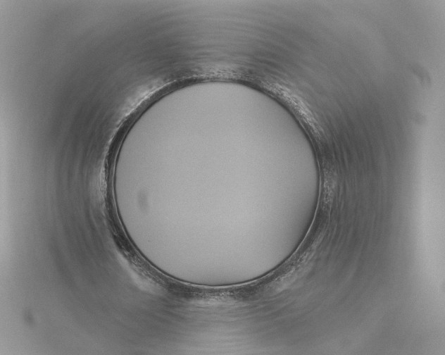 X0000115450674200911251307