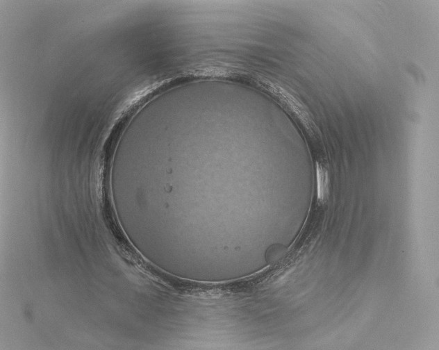 X0000115450675200911251307