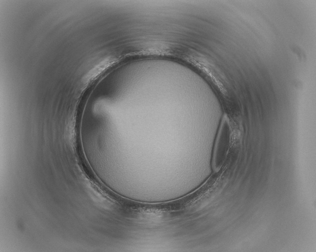 X0000115450677200911251307