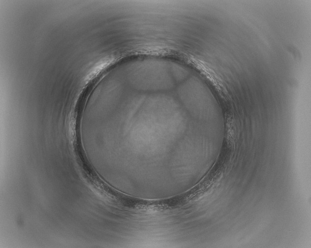 X0000115450679200911251307