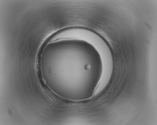 X0000115450680200911251307