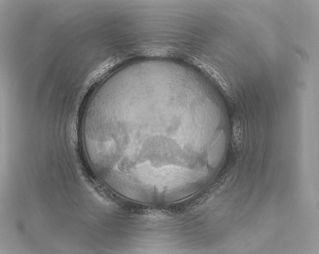 X0000115450682200911251307