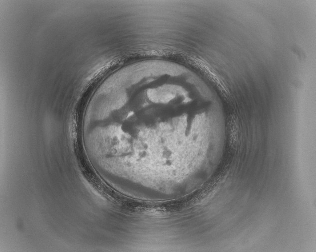 X0000115450683200911251307