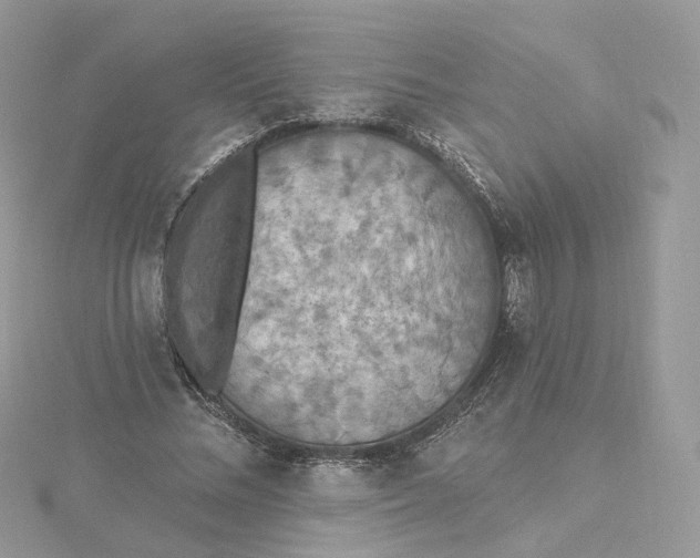 X0000115450684200911251307