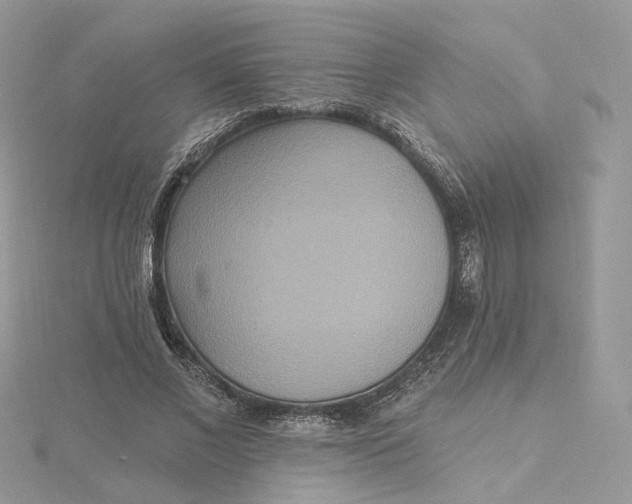 X0000115450685200911251307