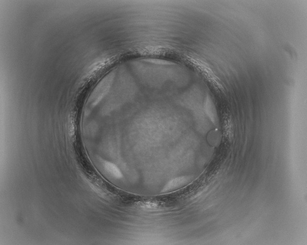 X0000115450687200911251307