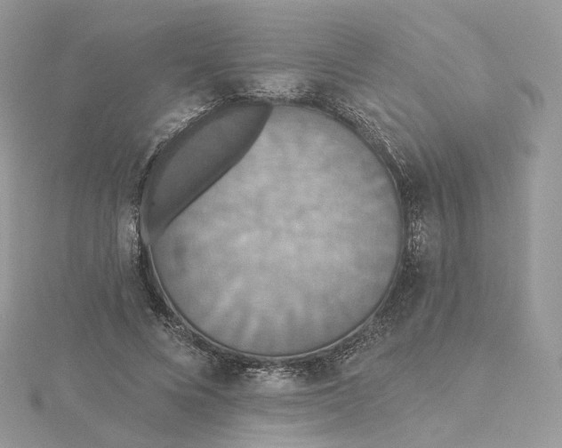 X0000115450688200911251307