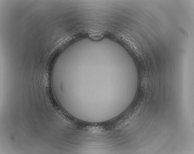 X0000115450689200911251307