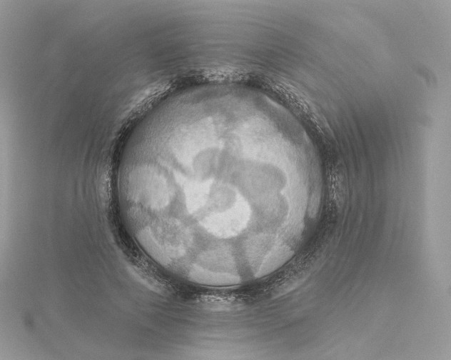 X0000115450690200911251307