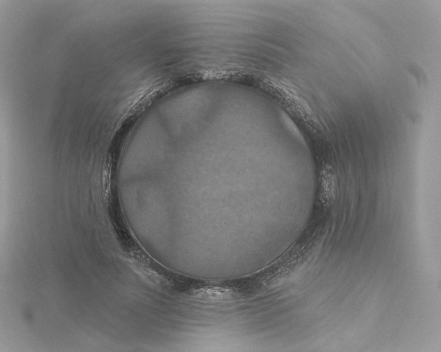 X0000115450691200911251307