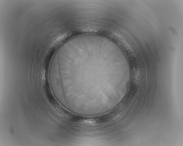 X0000115450692200911251307