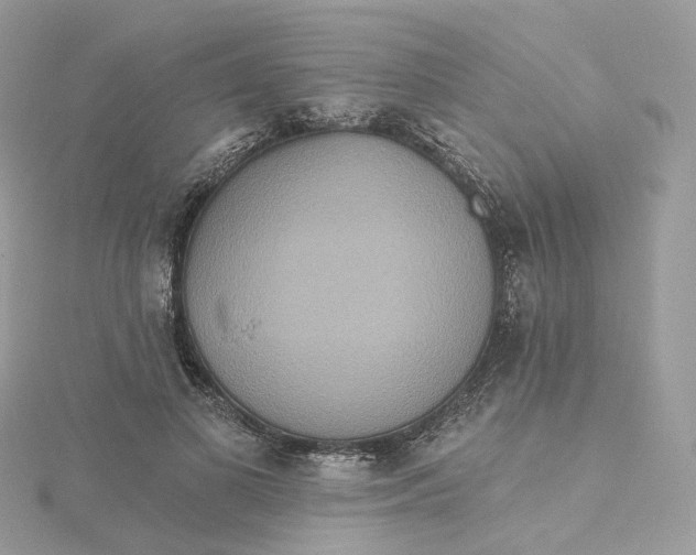 X0000115450693200911251307