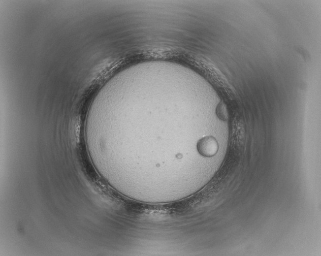 X0000115450694200911251307