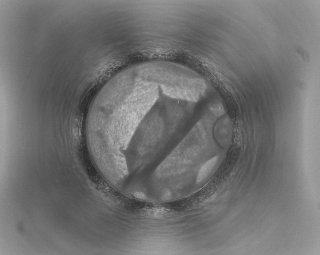 X0000115450695200911251307