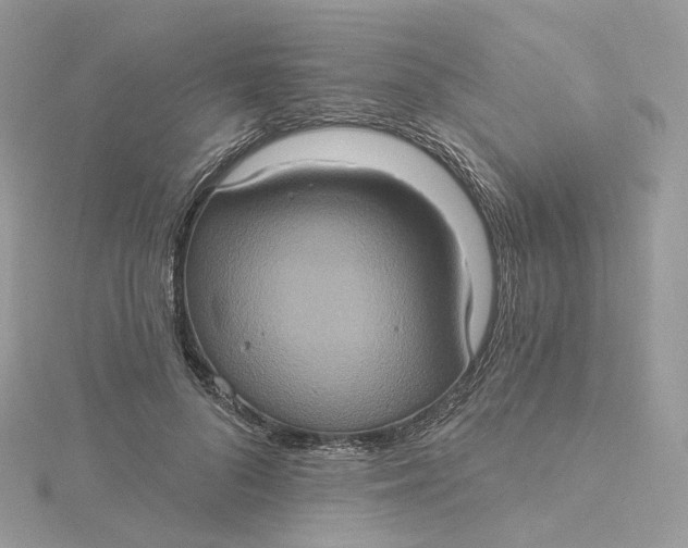 X0000115450696200911251307