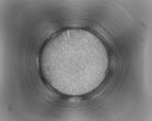 X0000115450700200911251307