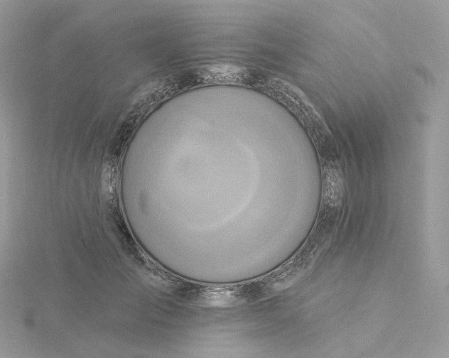 X0000115450701200911251307