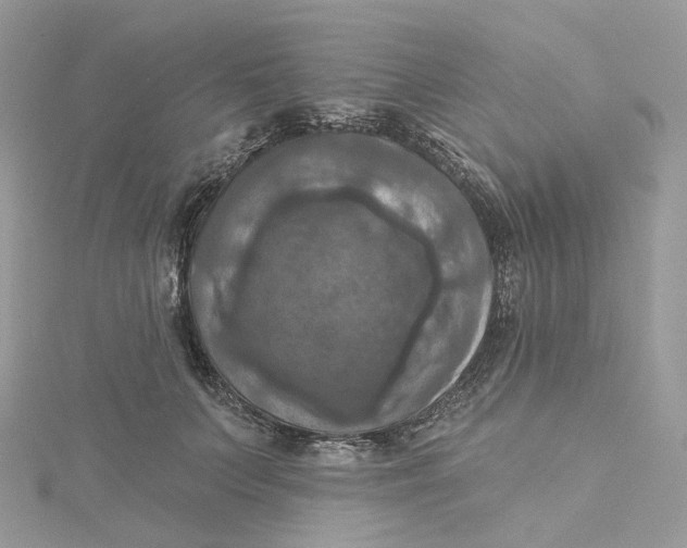 X0000115450703200911251307