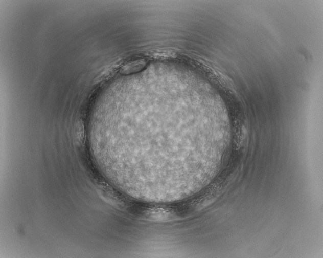 X0000115450704200911251307