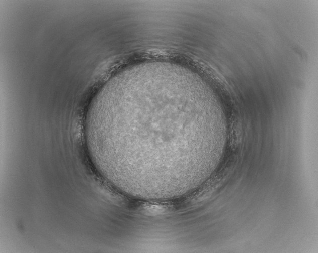 X0000115450706200911251307