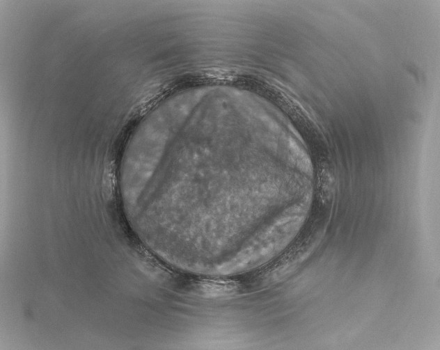 X0000115450707200911251307