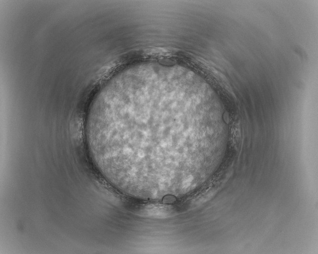 X0000115450708200911251307