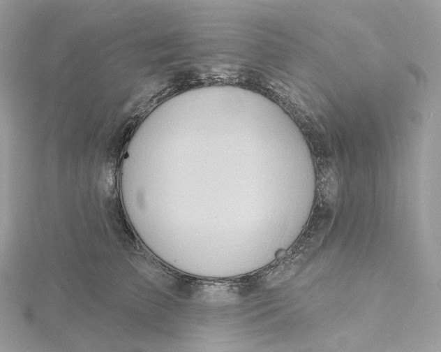 X0000115450709200911251307